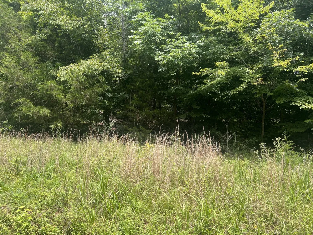 4 Toms Creek Lake Rd Linden, TN 37096