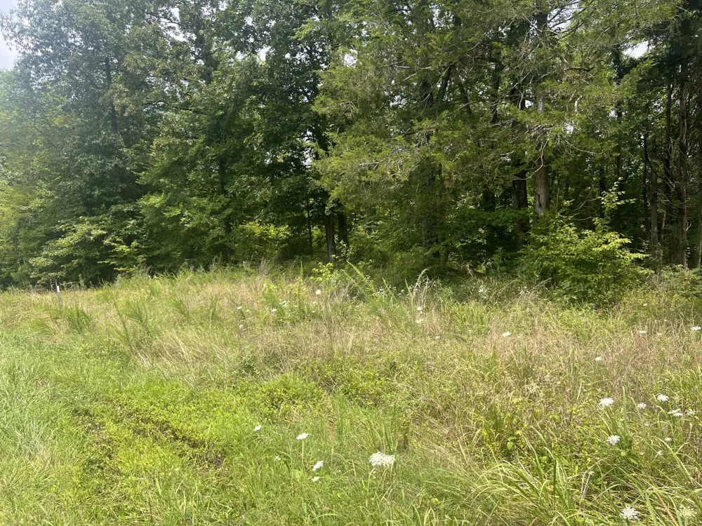4 Toms Creek Lake Rd Linden, TN 37096