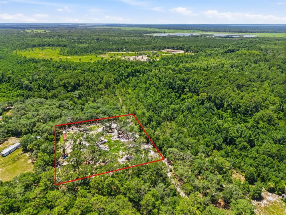 6900 NE 195TH STREET Citra, FL 32113