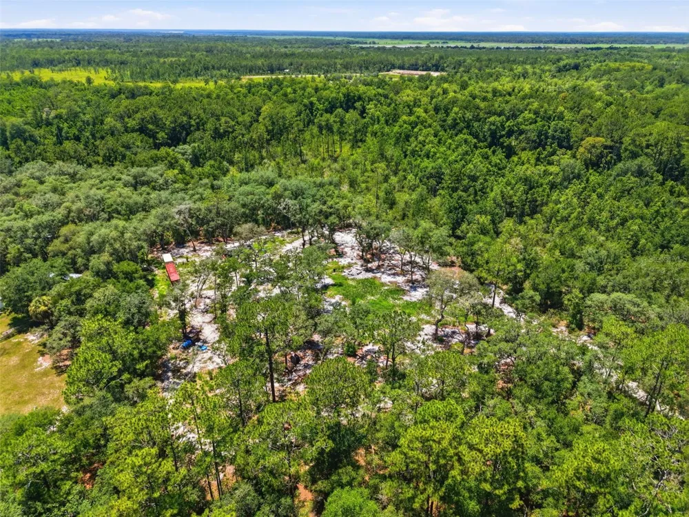 6900 NE 195TH STREET Citra, FL 32113