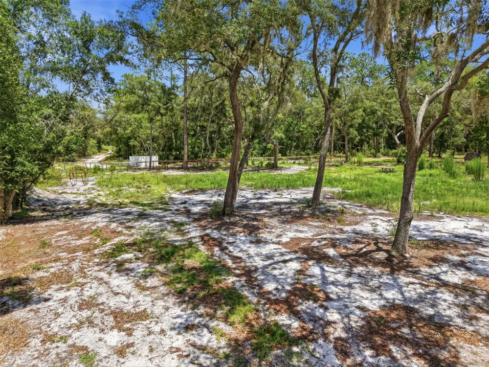 6900 NE 195TH STREET Citra, FL 32113
