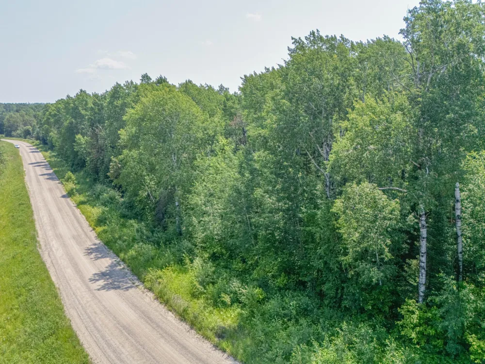 TBD County Road 308 Mountain Iron, MN 55768