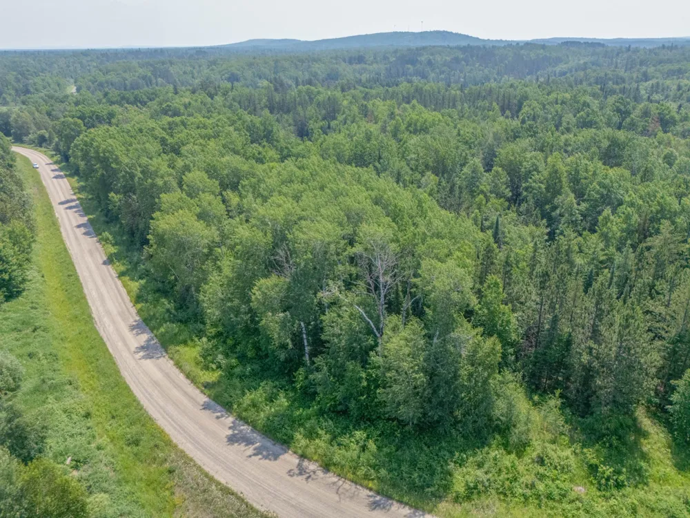 TBD County Road 308 Mountain Iron, MN 55768