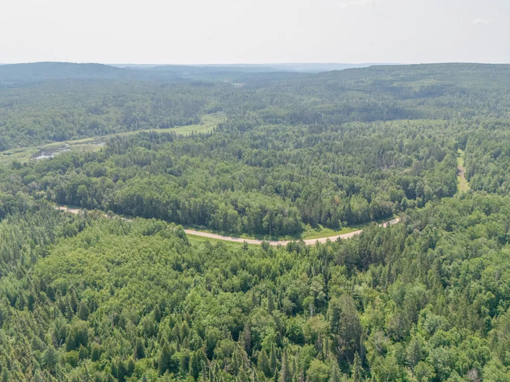 TBD County Road 308 Mountain Iron, MN 55768