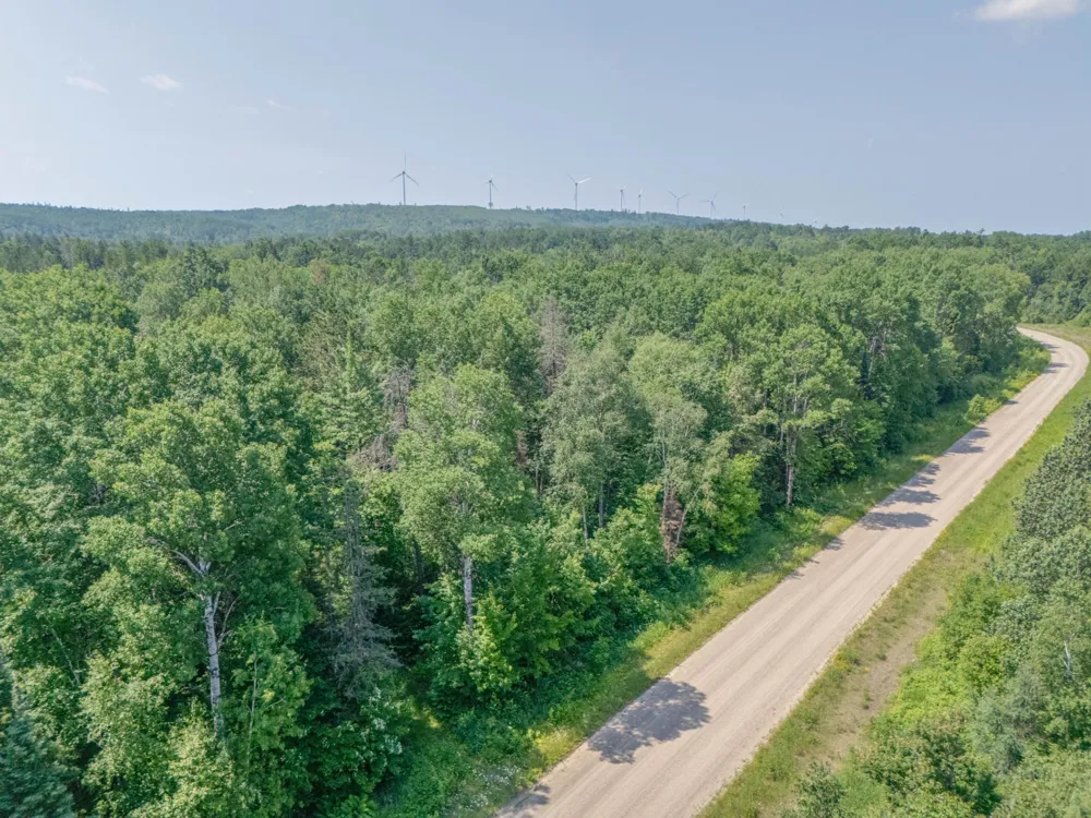 TBD County Road 308 Mountain Iron, MN 55768