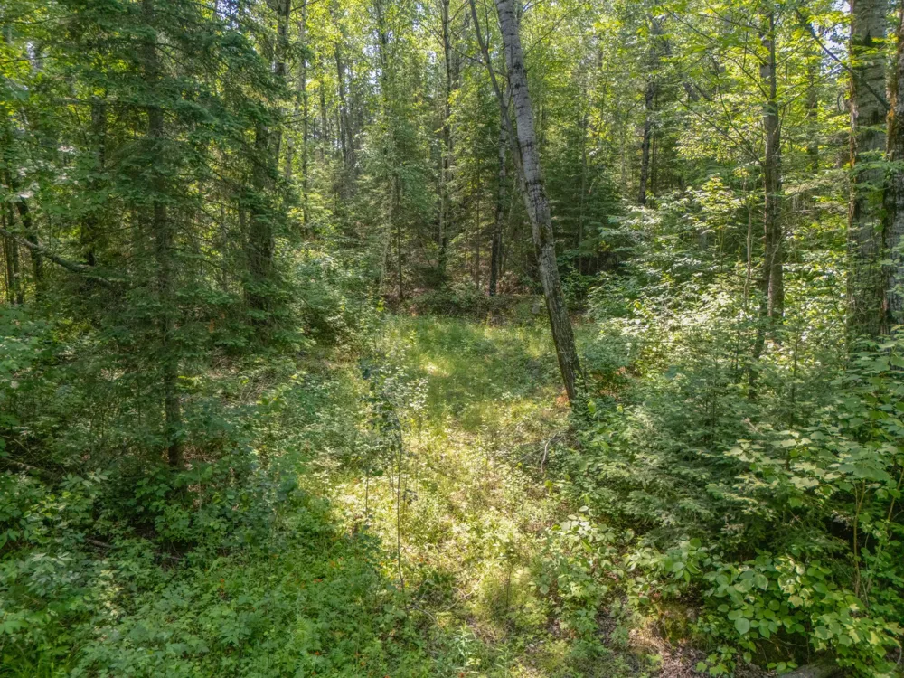 TBD County Road 308 Mountain Iron, MN 55768
