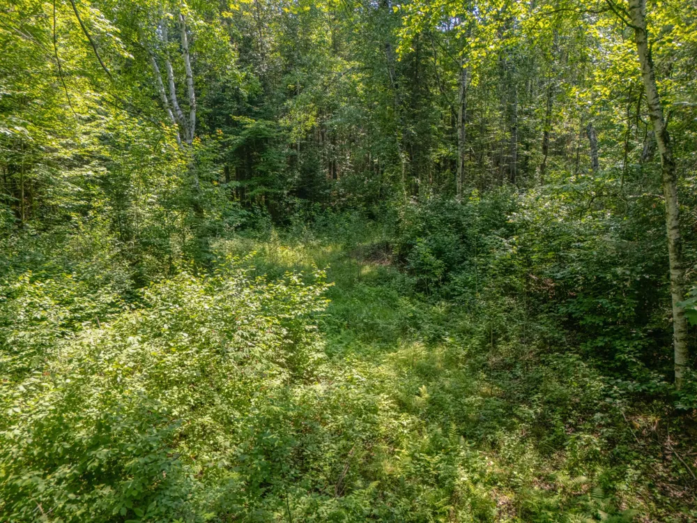 TBD County Road 308 Mountain Iron, MN 55768