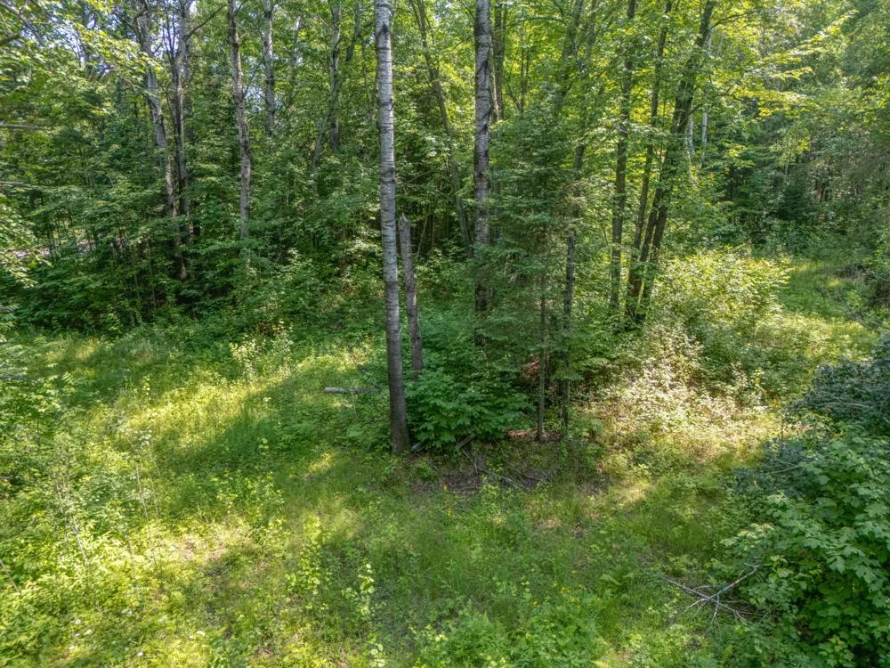 TBD County Road 308 Mountain Iron, MN 55768