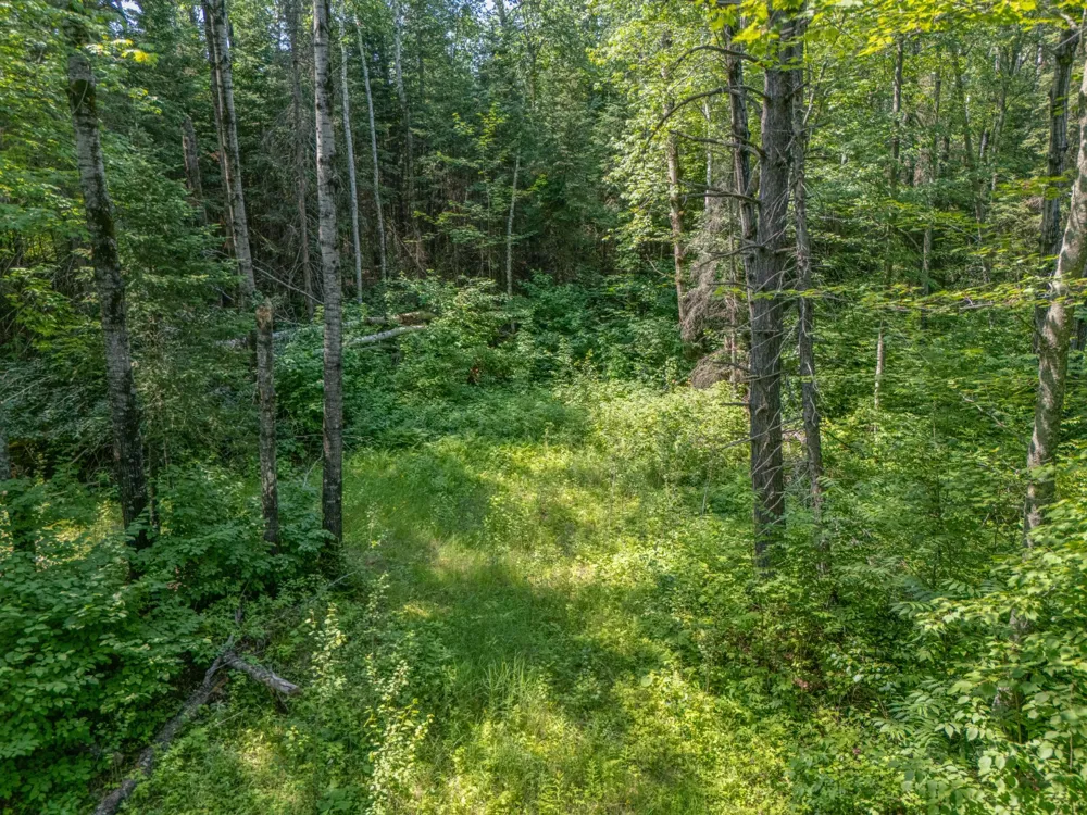 TBD County Road 308 Mountain Iron, MN 55768