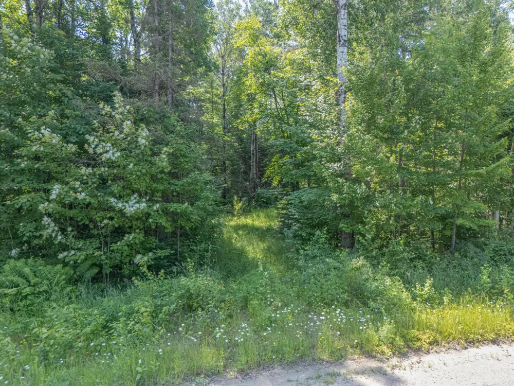 TBD County Road 308 Mountain Iron, MN 55768