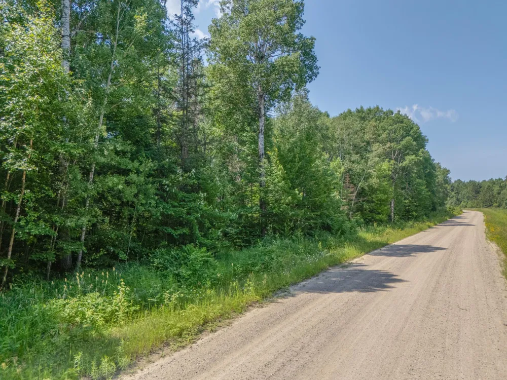 TBD County Road 308 Mountain Iron, MN 55768