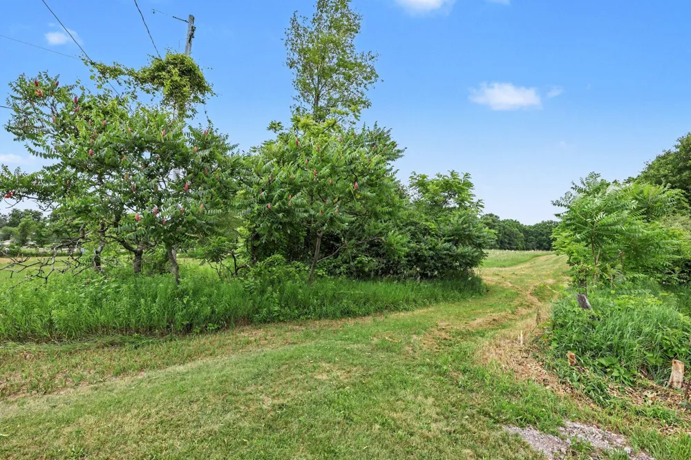 4794 Seymour Road Leoni Township, MI 49201