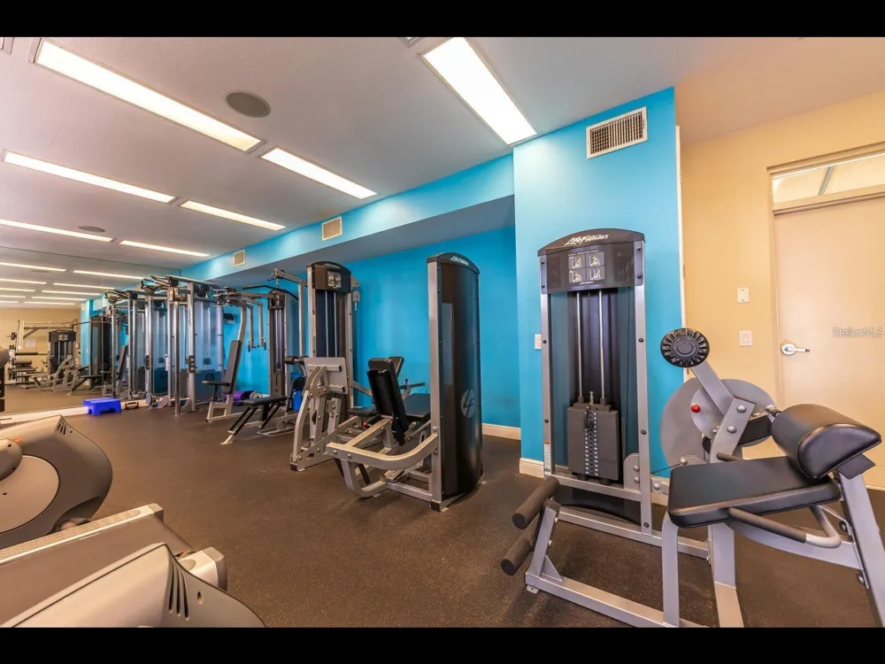 1042 BELLASOL WAY #203 Apollo Beach, FL 33572