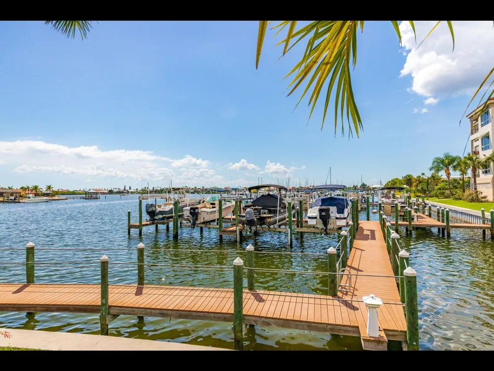 1042 BELLASOL WAY #203 Apollo Beach, FL 33572