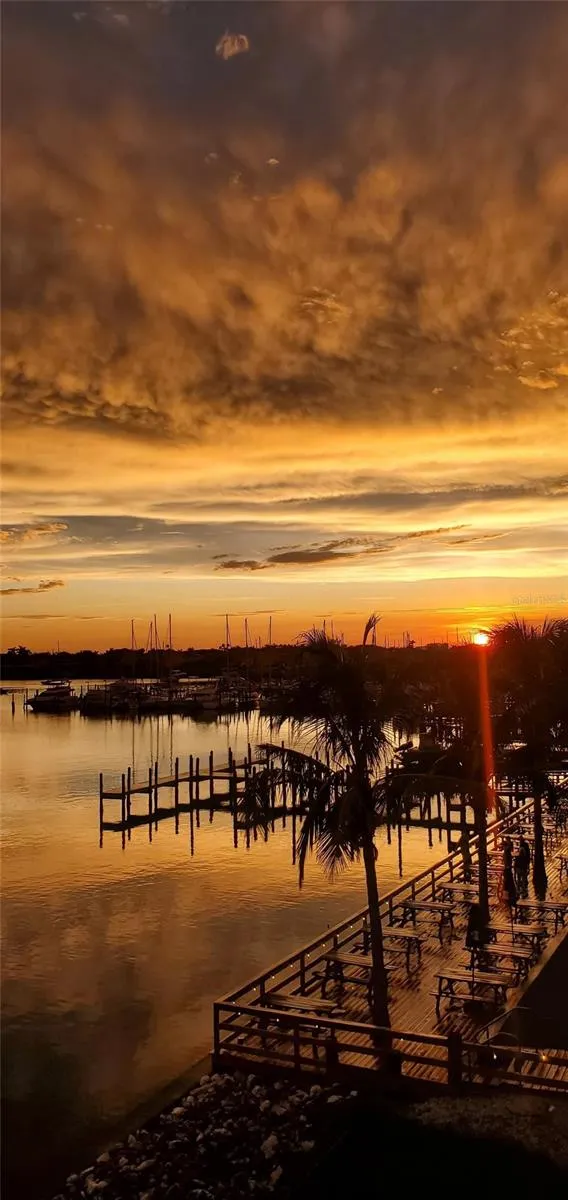 1042 BELLASOL WAY #203 Apollo Beach, FL 33572