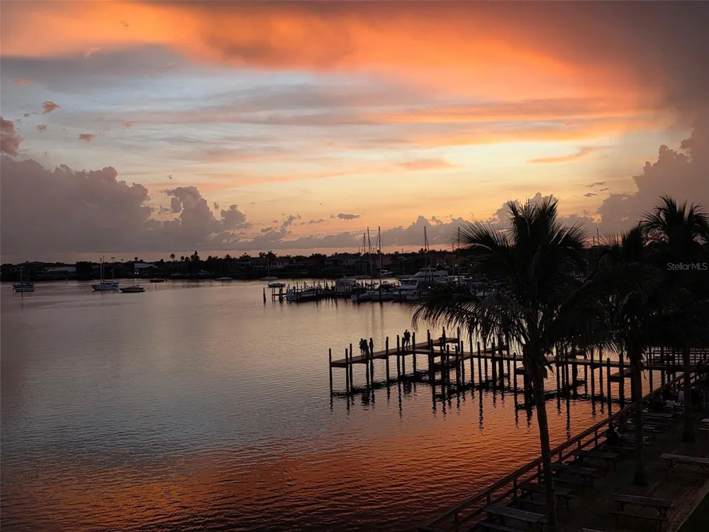 1042 BELLASOL WAY #203 Apollo Beach, FL 33572