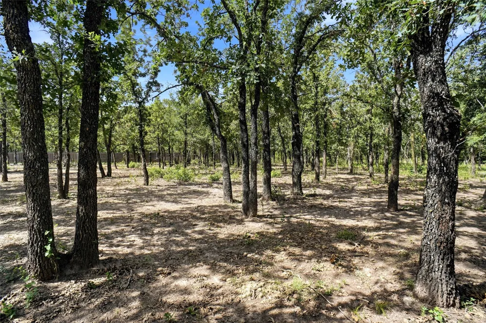 211 Spring Valley Road Paradise, TX 76073