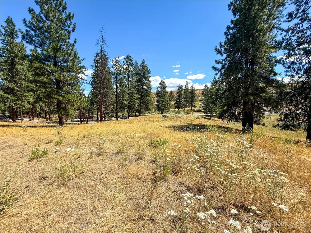 113 Crumbacher Road Tonasket, WA 98855