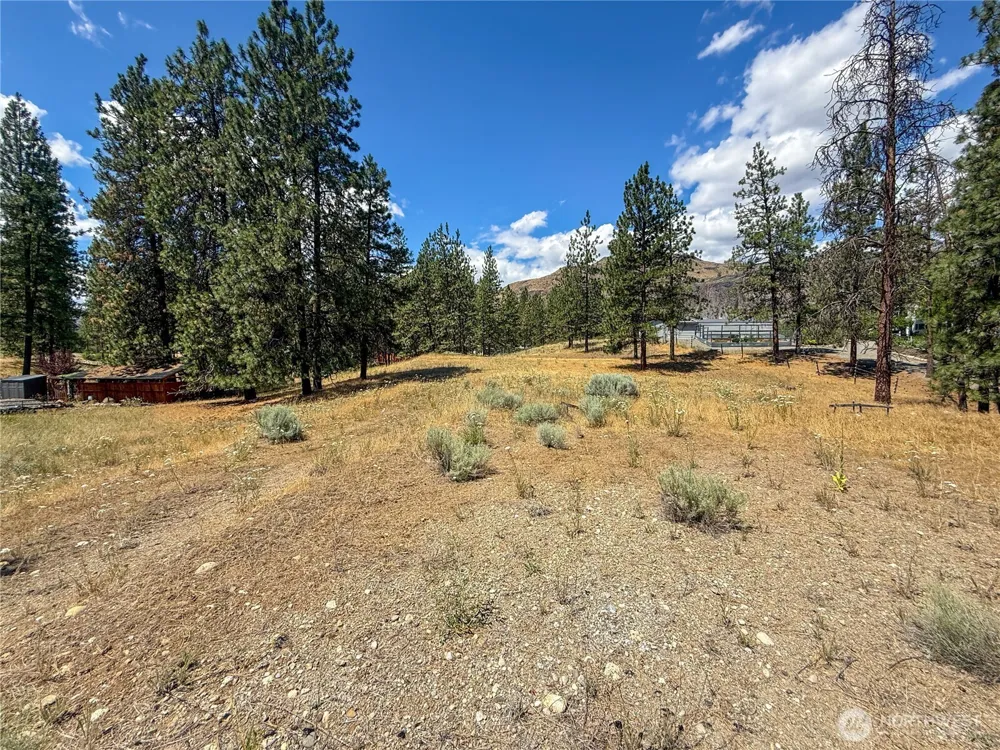 113 Crumbacher Road Tonasket, WA 98855