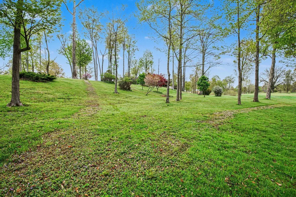 4862 Knoll Court Watervliet, MI 49098