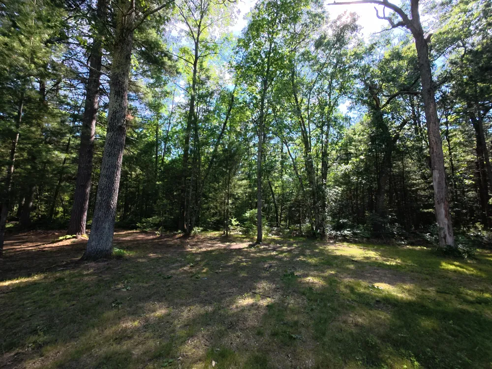 18233 Old House Road Norman Township, MI 49689