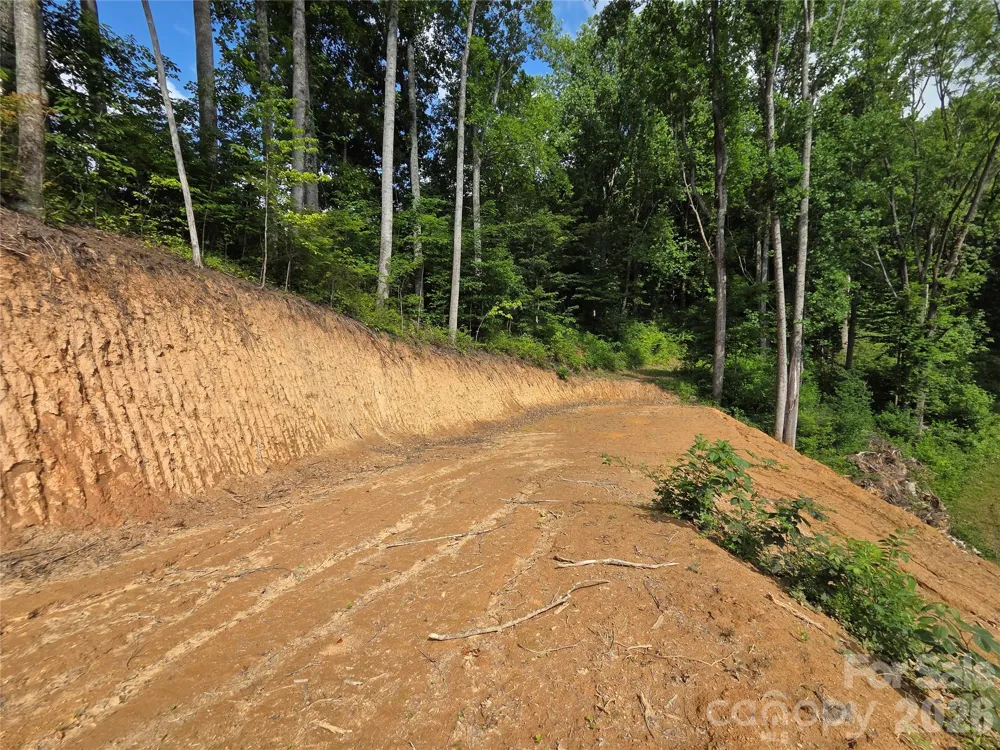 275 Sorrells Cove Road #C1 Waynesville, NC 28786