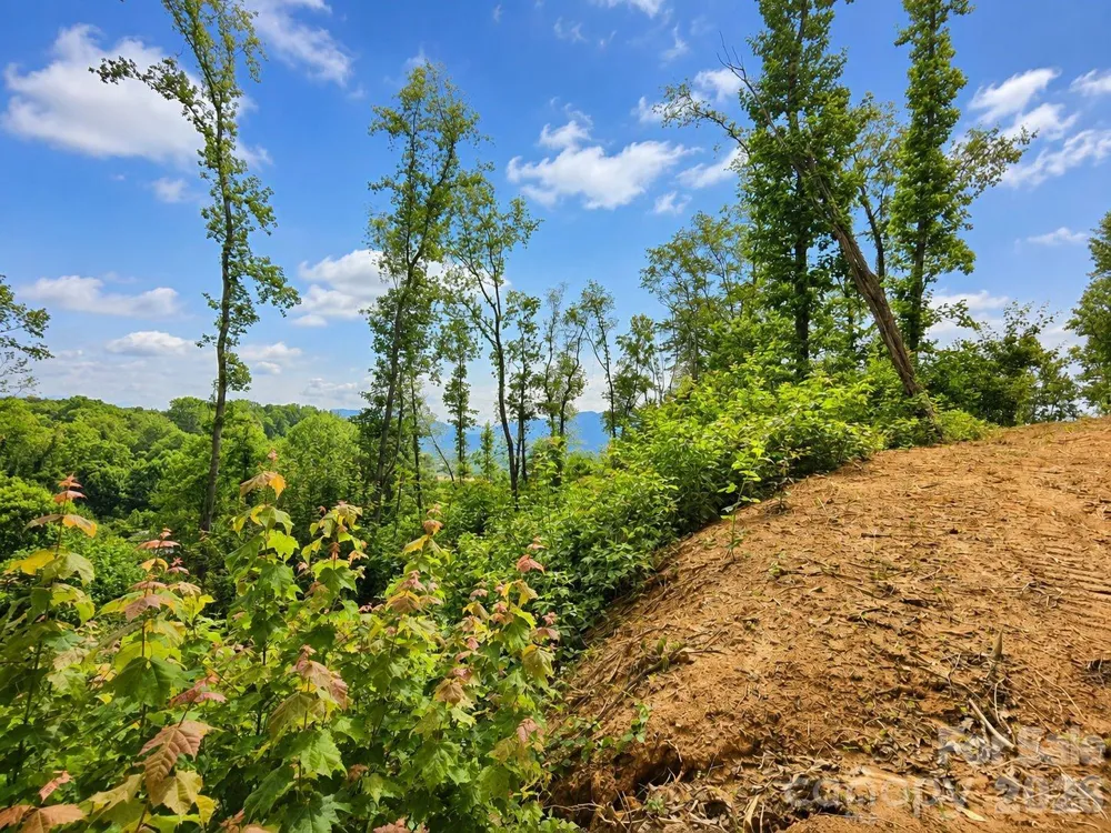 275 Sorrells Cove Road #C1 Waynesville, NC 28786