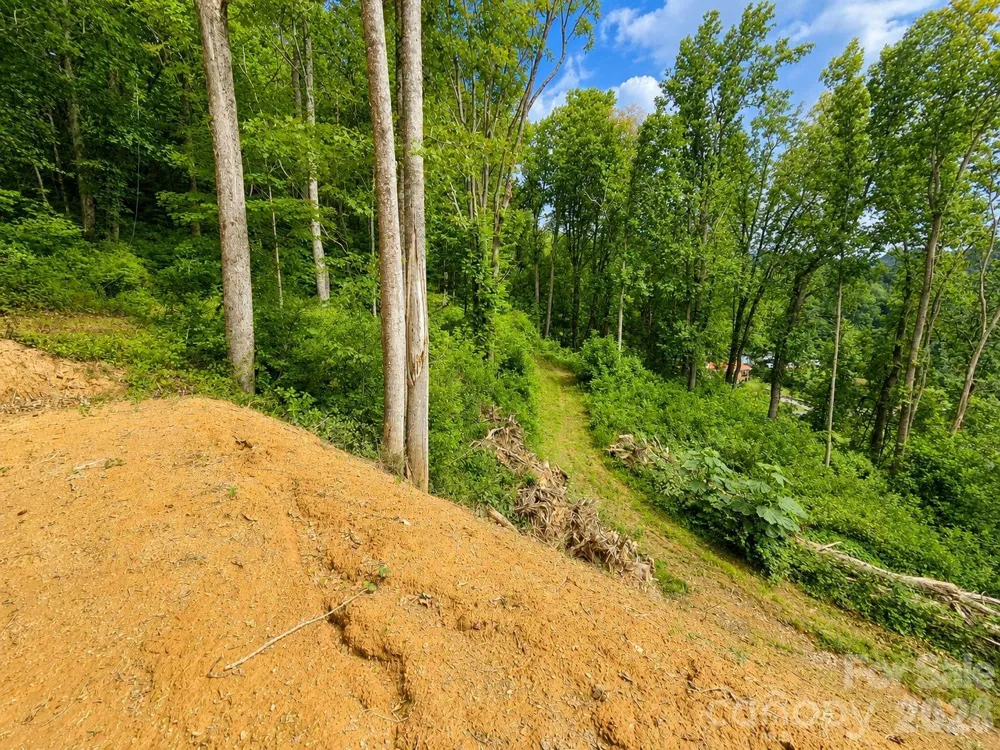 275 Sorrells Cove Road #C1 Waynesville, NC 28786