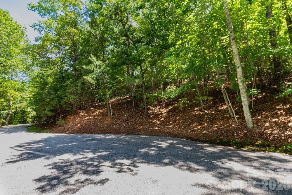 50 Cedar Drive Mills River, NC 28759