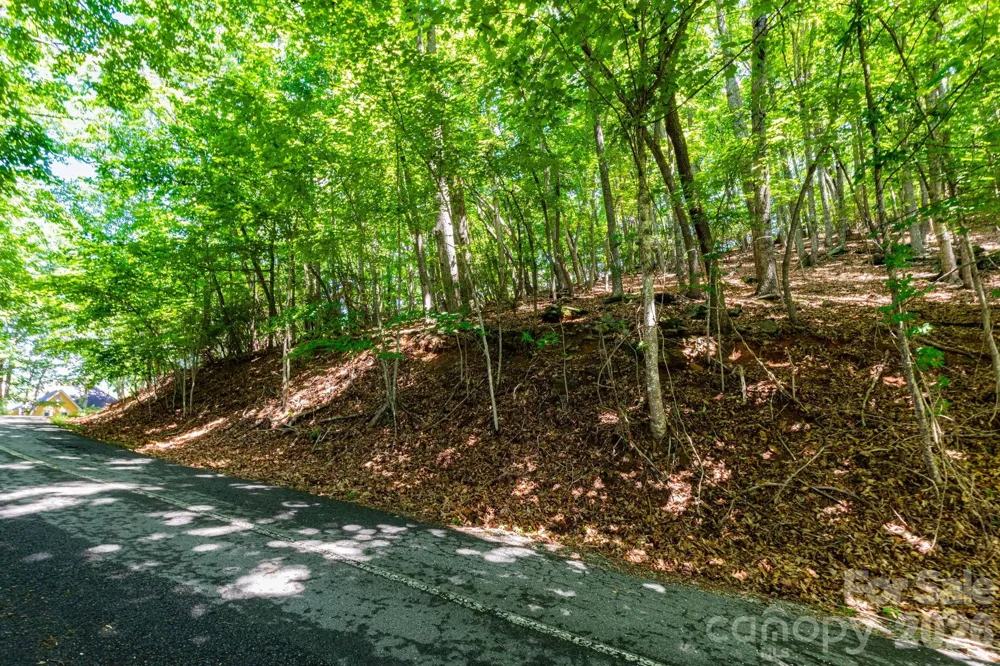 50 Cedar Drive Mills River, NC 28759