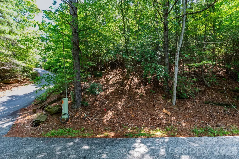 50 Cedar Drive Mills River, NC 28759