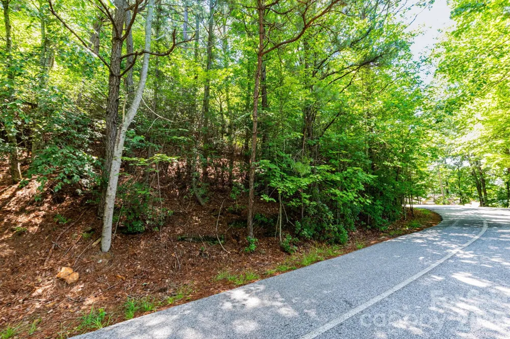 50 Cedar Drive Mills River, NC 28759