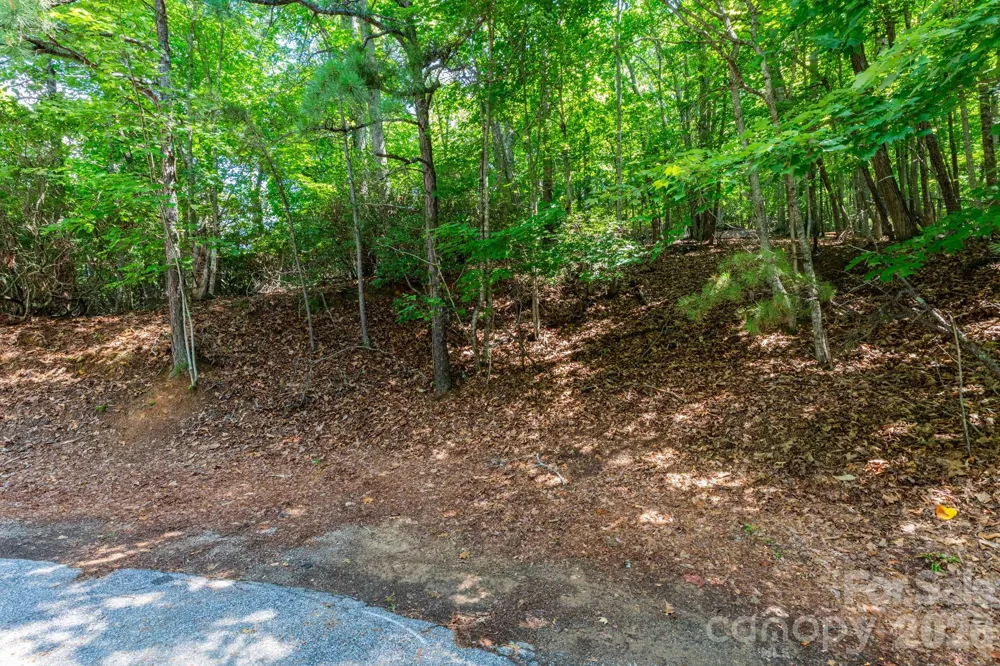 50 Cedar Drive Mills River, NC 28759