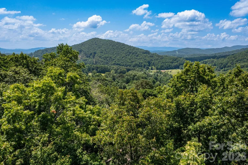 50 Cedar Drive Mills River, NC 28759