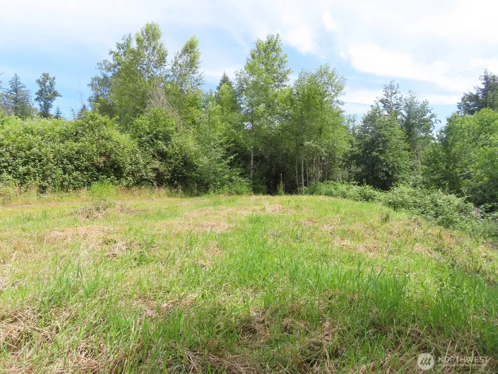 0 XXX Coleman Road Mossyrock, WA 98564