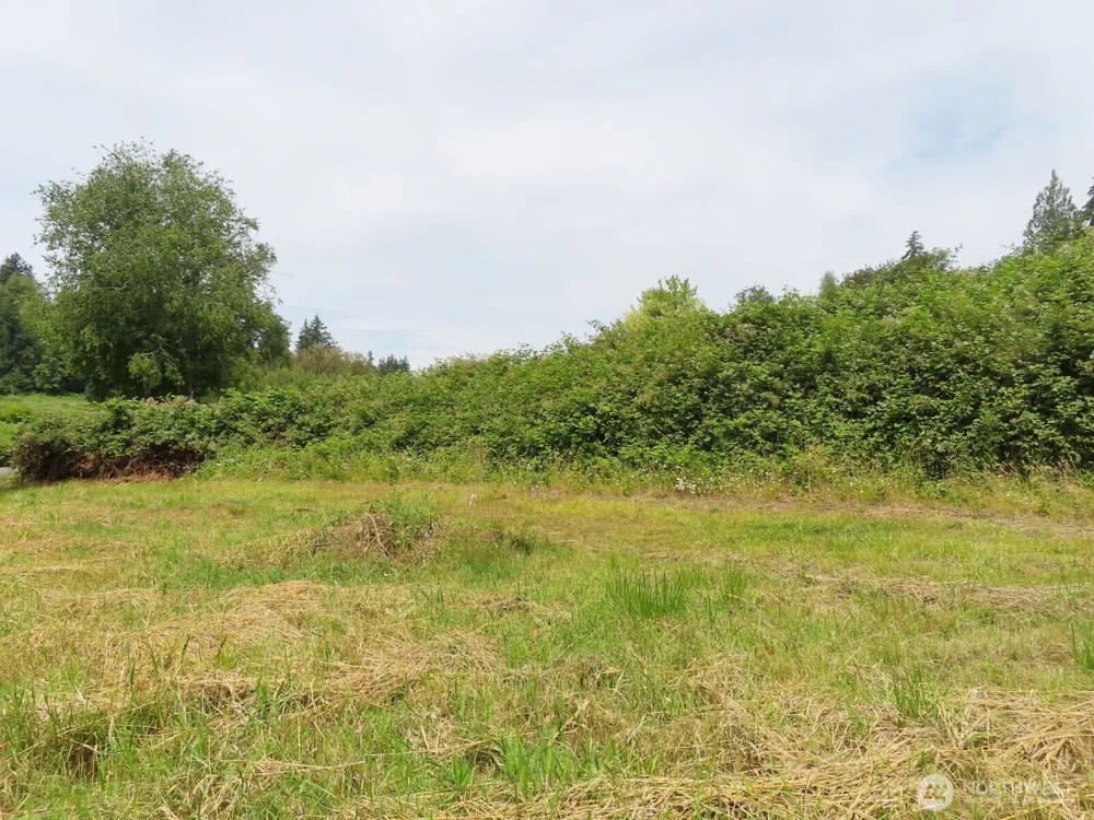 0 XXX Coleman Road Mossyrock, WA 98564