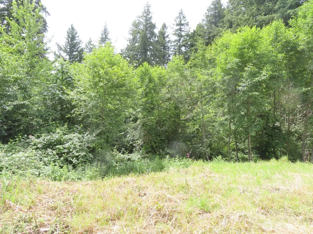 0 XXX Coleman Road Mossyrock, WA 98564