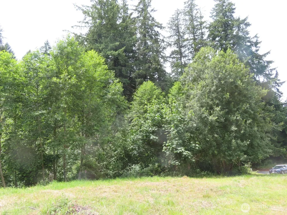 0 XXX Coleman Road Mossyrock, WA 98564