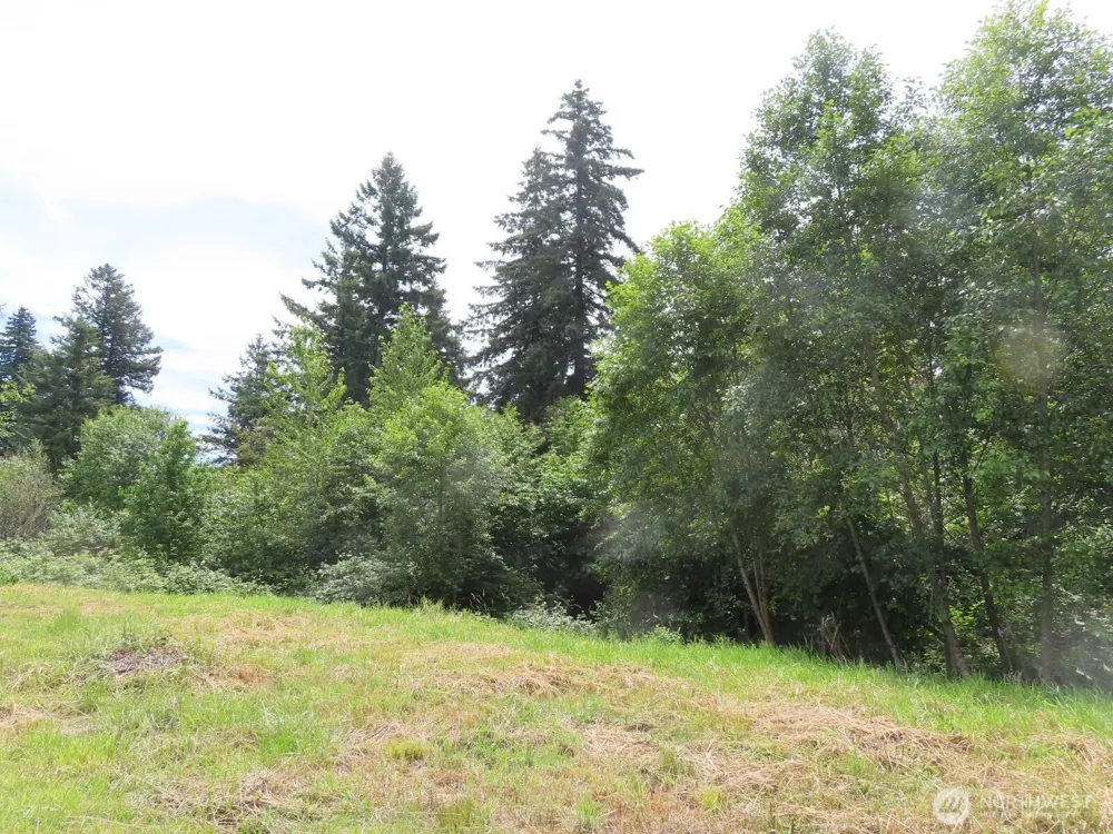 0 XXX Coleman Road Mossyrock, WA 98564
