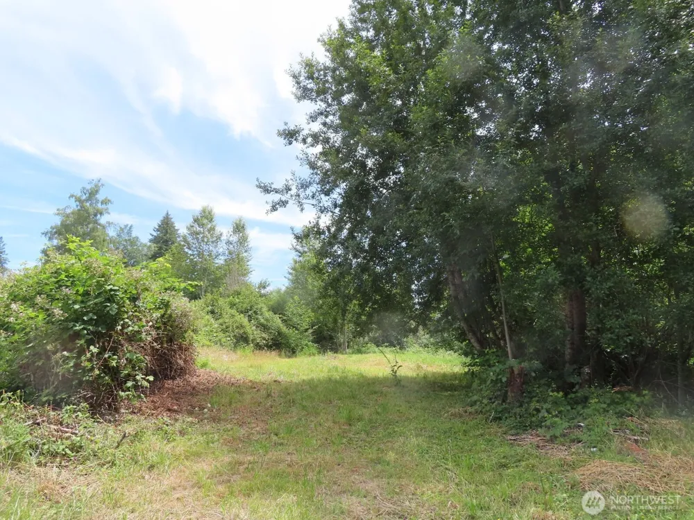 0 XXX Coleman Road Mossyrock, WA 98564