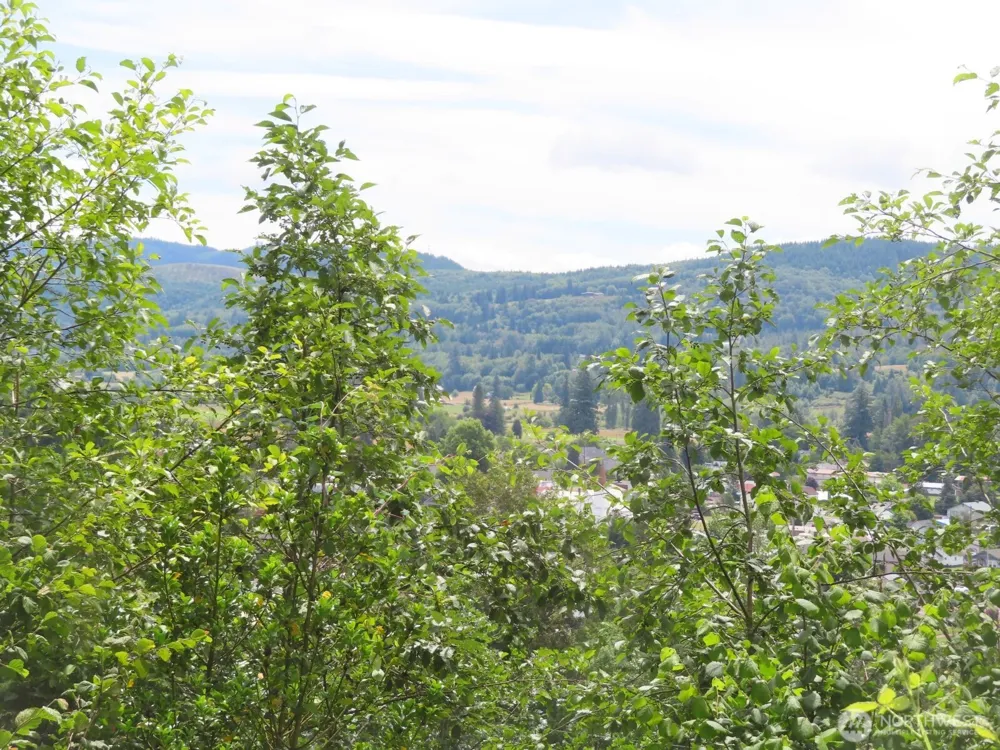 0 XXX Coleman Road Mossyrock, WA 98564