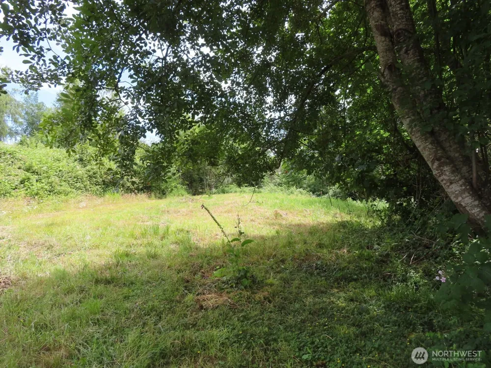 0 XXX Coleman Road Mossyrock, WA 98564
