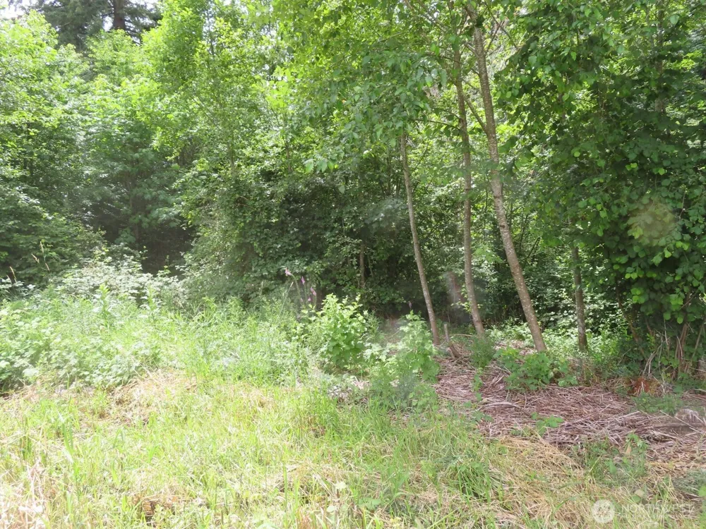 0 XXX Coleman Road Mossyrock, WA 98564