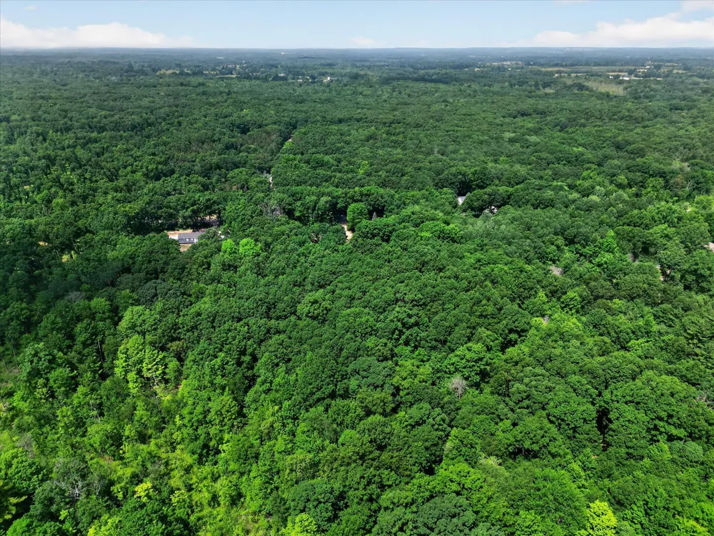 16300 Myers Lake Avenue NE Nelson Township, MI 49343