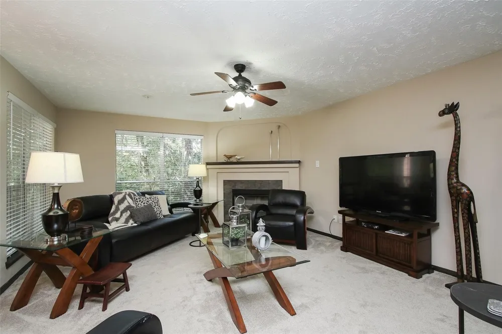8051 Bay Branch Drive #323 The Woodlands, TX 77382
