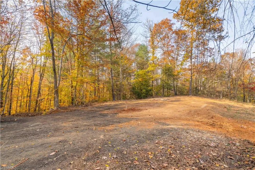 1165 Dehart Community Ctr Road Hays, NC 28635
