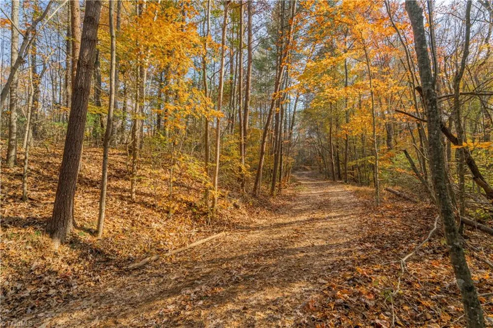 1165 Dehart Community Ctr Road Hays, NC 28635