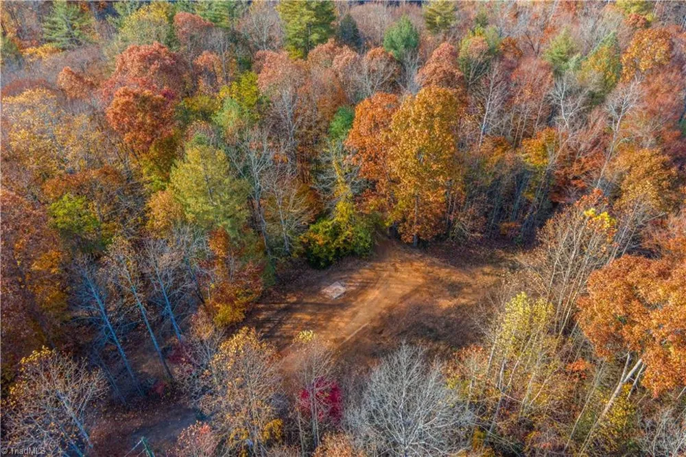 1165 Dehart Community Ctr Road Hays, NC 28635