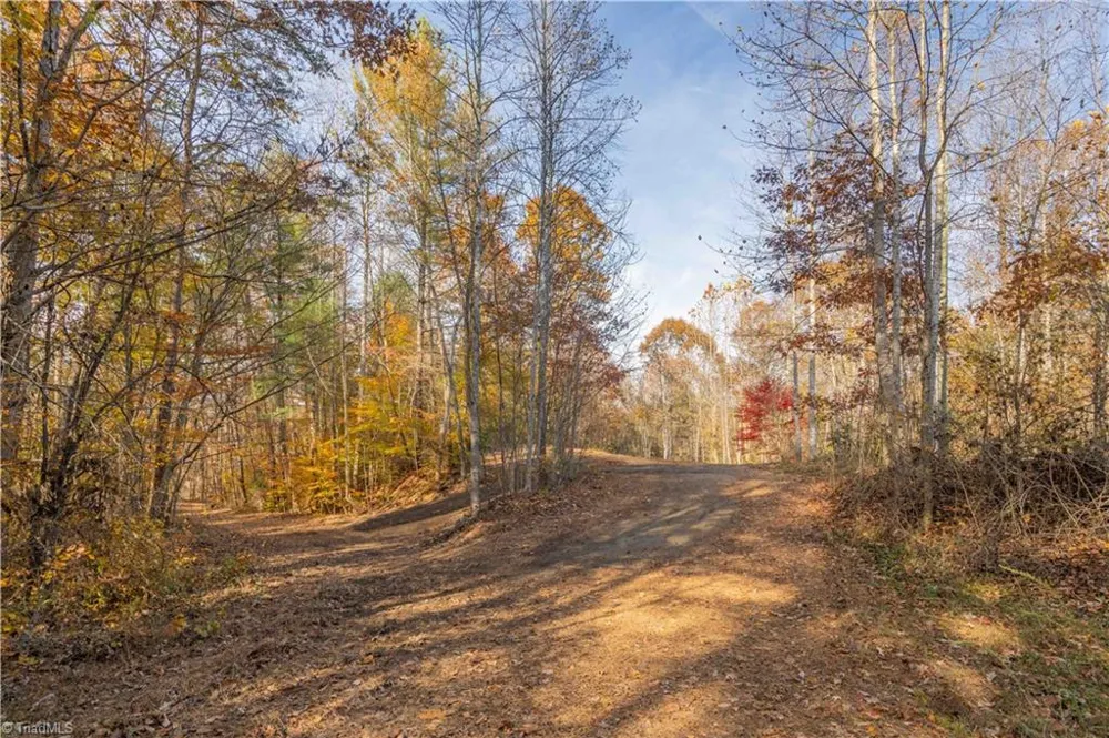 1165 Dehart Community Ctr Road Hays, NC 28635