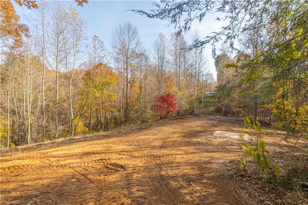 1165 Dehart Community Ctr Road Hays, NC 28635